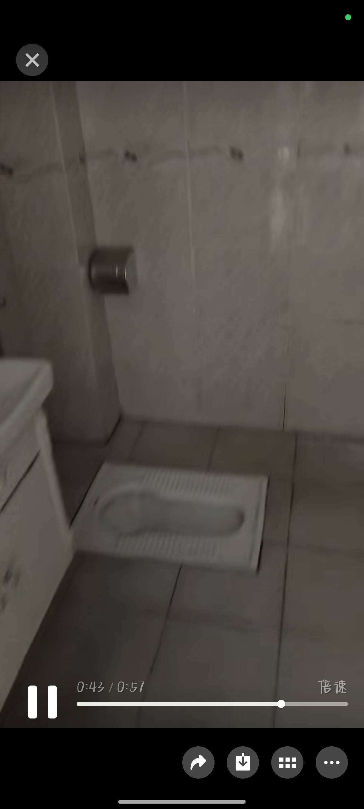 西锦集1期