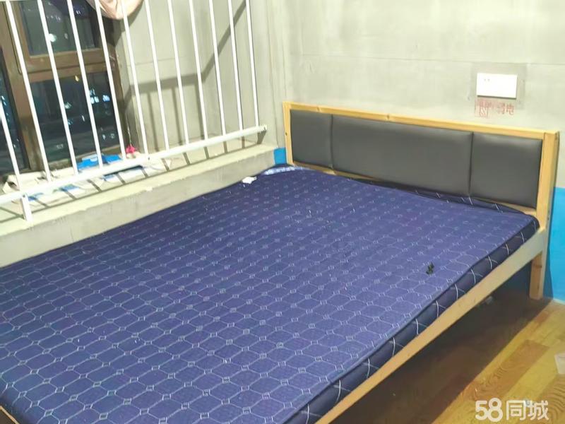 整租 | 泗县碧桂园 3室2厅1卫